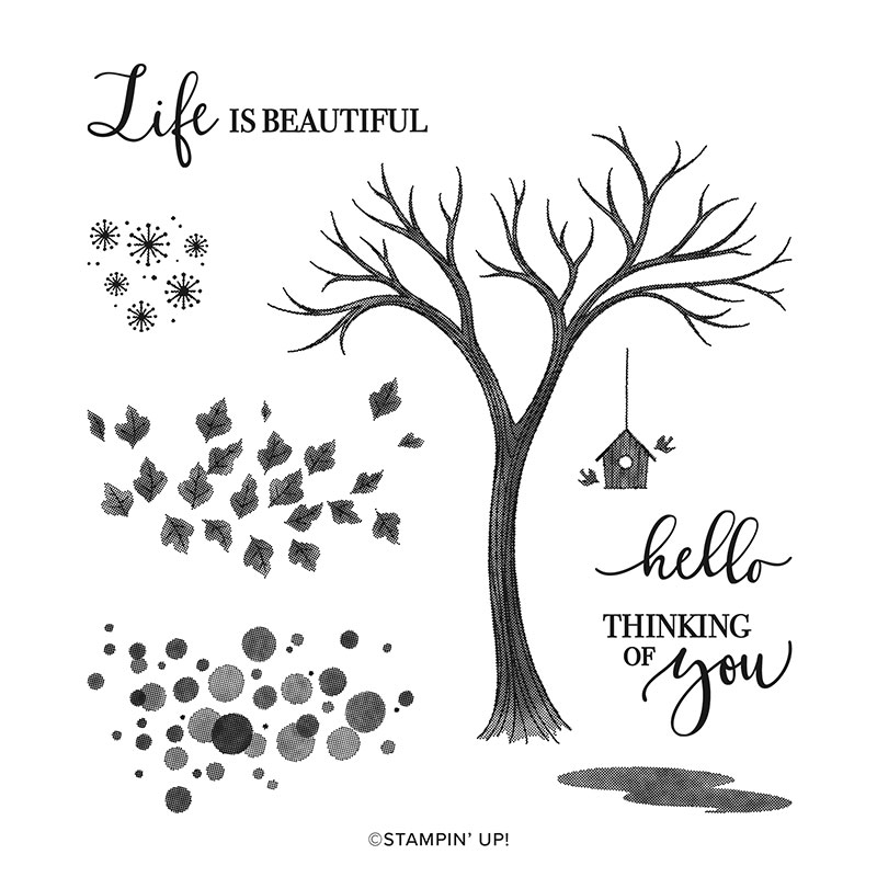 life is beautiful