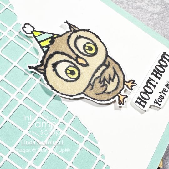 adorable owls sab sample