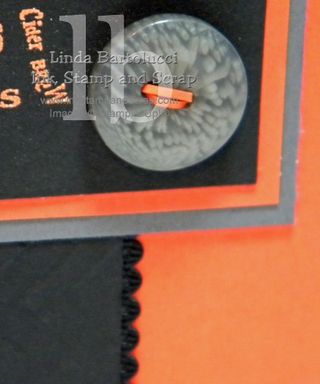 Cat-button-ribbon-closeup Cat-button-ribbon-closeup