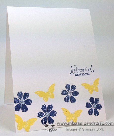 single-layer-sale-a-bration single-layer-sale-a-bration